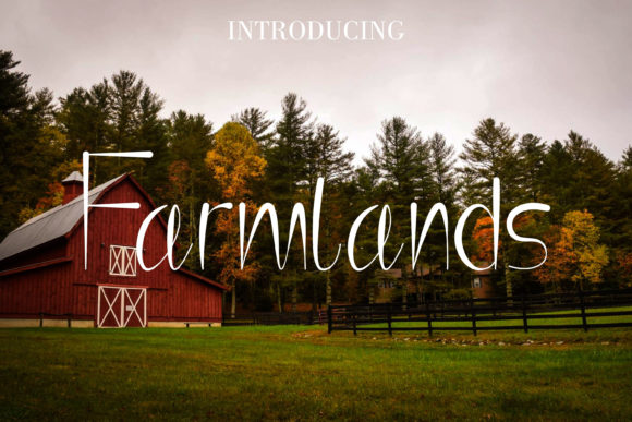 Farmlands: A Playful Display Font That Elevates Small Business Branding